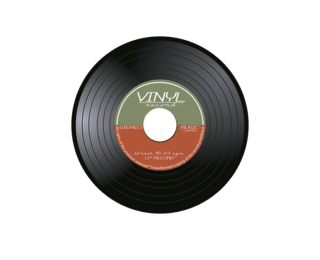 Vinyl disc