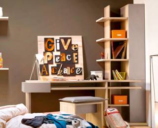 Graphic bookcase with 1 door