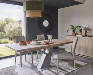 Satis Y-leg table with extension